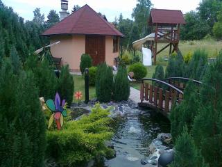 Apartmani STiKiC - Zlatibor - 6