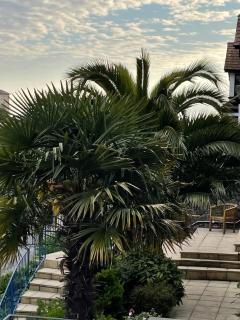 Hotel Hudson - 8