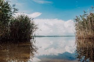 raus und gut Glamping am Gräbendorfer See - 8