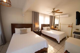 Lazy Parrot Inn - 1