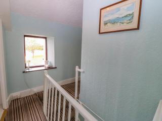 Tir Bedw - Ederyn - 1