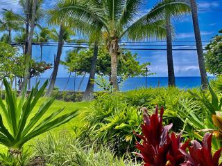 YOUR HAWAIIAN TROPICAL GARDEN VIEW STUDIO - KONA ISLANDER INN CONDOS condo - Kailua-Kona - 1