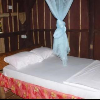 Natty Tropical Valley - 2