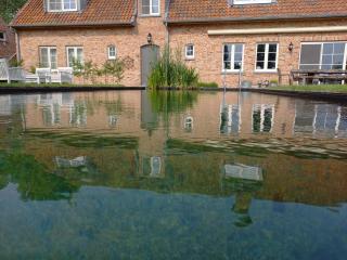 Vakantiewoning Victors Hof tot 4 pers - Lievegem - 8