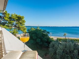 Apartment on Vir Island near Sandy Beaches - 1