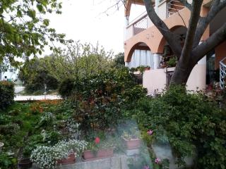 Apartments Vanja Škara Biograd - 9