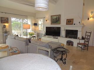 Picturesque holiday home with garden - Vaison-la-Romaine - 1
