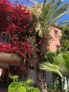 Riad Palmier fleuri - Marrakech - 2