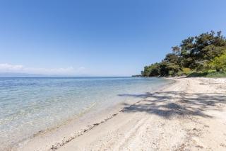 PineReef Blue - 3