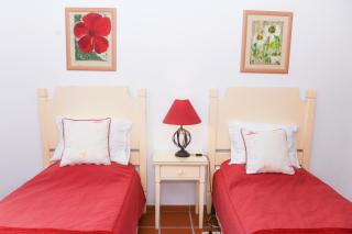 Casa Lavanda - Casal da Lagoa Seca - 8