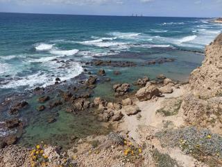 Sea&Surf Deluxe Olga - 5