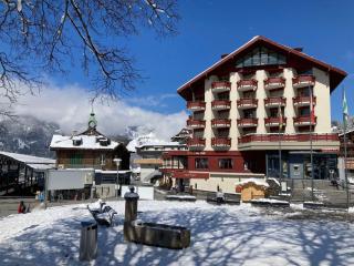 Apartment Eiger Residence Apt-A-425 by Interhome - 7