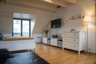 Stylový apartmán č. 8 U Venuše, Pavlov u Mikulova - Pavlov - 4