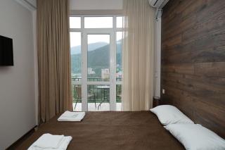 Borjomi-Likani Premium Apartments - 2