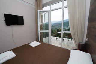 Borjomi-Likani Premium Apartments - 4
