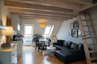 Stylový apartmán č. 8 U Venuše, Pavlov u Mikulova - Pavlov - 8