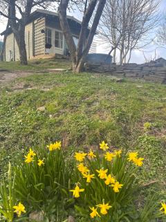 Ty Bach Twt, Coity Bach - 1