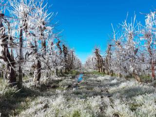Ferienwohnung Blütenblick - 3