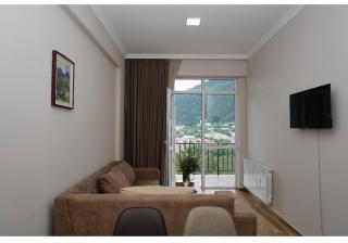 Borjomi-Likani Premium Apartments - 6
