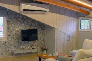 Contemporary Attic - 2