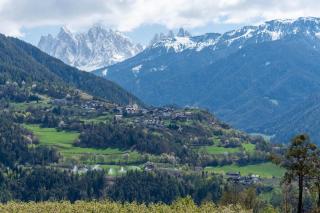 Huberhof App Golden Delicious - Velturno - 8