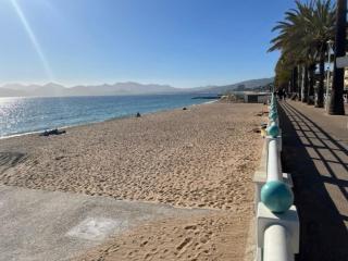 Fantastic located studio - Cannes - 5