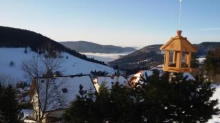 Schöne Aussicht - Todtnau - 9