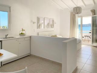 Palm Suite Green - 6