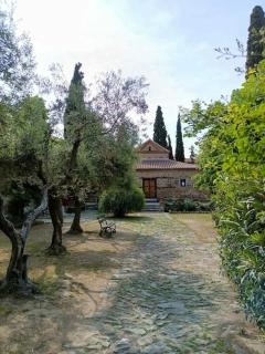 KALITHEA VIEW - Salonicco - 5