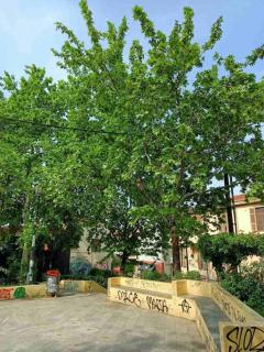 KALITHEA VIEW - Salonicco - 4
