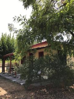 Authentic Country House in Zakynthos - Ambelókipoi - 4