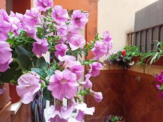 Apartamento La Reina - Córdoba - 0