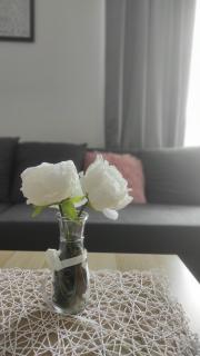 Apartman Simona - Vrnjačka Banja - 5