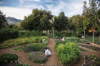 La Morada Lodge & Glamping - Meliquina - 3