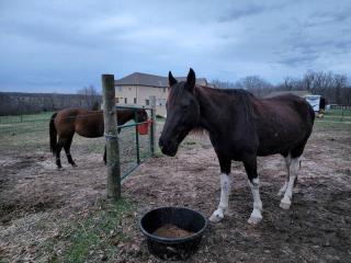 Deer Run Estate LLC - 9