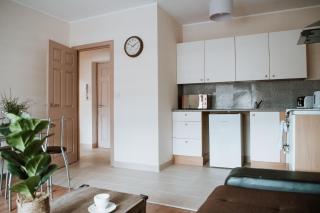 Flat 5 Lovely 1-bedroom flat in Liverpool - 8