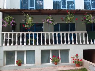 Casa Albastra - Drumu Carului - 9