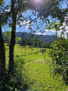 Birdsong Bellingen Farm - 2