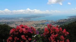 Vista da Sogno - La Foce - 9