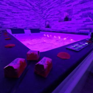 Superbe appartement privé avec jacuzzi - Saint Etienne - 0