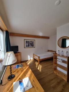 Hotel Roc et Neige - Château-d'Oex - 1