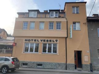 Penzion Vesely - Železný Brod - 7