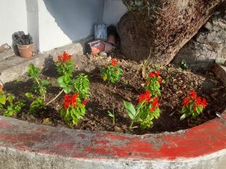 Sukoon.Homestay - Rājpur - 7