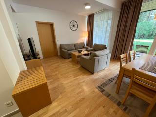 Golden Fox Apartment Pohorje - Maribor - 7