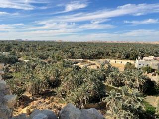 Sleep In Siwa - Siwa - 1