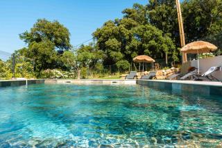 Le Clos des Eucalyptus - Le Plan-de-la-Tour - 0