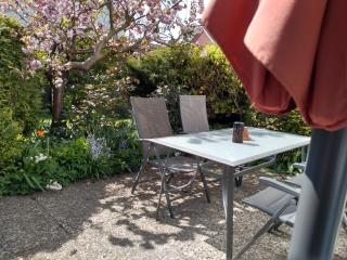 Fewo 7 mit Süd- Terrasse 3 Zimmer - Dahme - 0