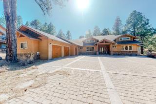 Forest Drama - Flagstaff - 9