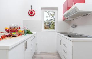 Luxury New !!! Apartment One and Only with terrace & free bikes - Poreč - 6