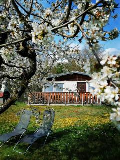 Ferienhaus Chiara, Südharz, Harztor - Ilfeld - 9